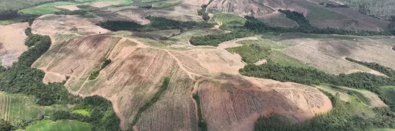 Terras raras: Meteoric Resources adiciona novas áreas de alto teor em Minas Gerais