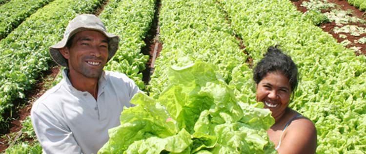 Governo destina R$ 21 bilhões para financiar a agricultura familiar