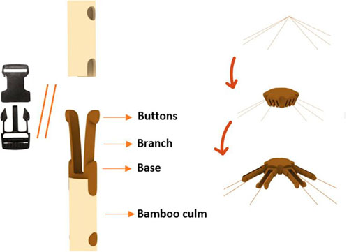 Conector simples viabiliza uso de bambu em móveis e construções