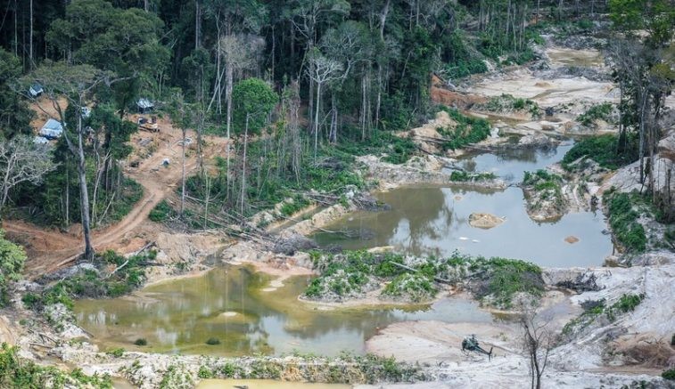 Amazônia: garimpo ilegal em terras indígenas subiu 1.217% em 35 anos