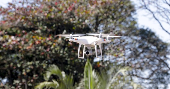 Drones e modelagem 3D auxiliarão a recuperação de florestas