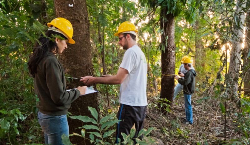 Habilidades do engenheiro ambiental 