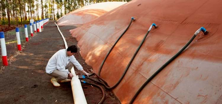 Biometano ganha força como alternativa ao combustível fóssil  