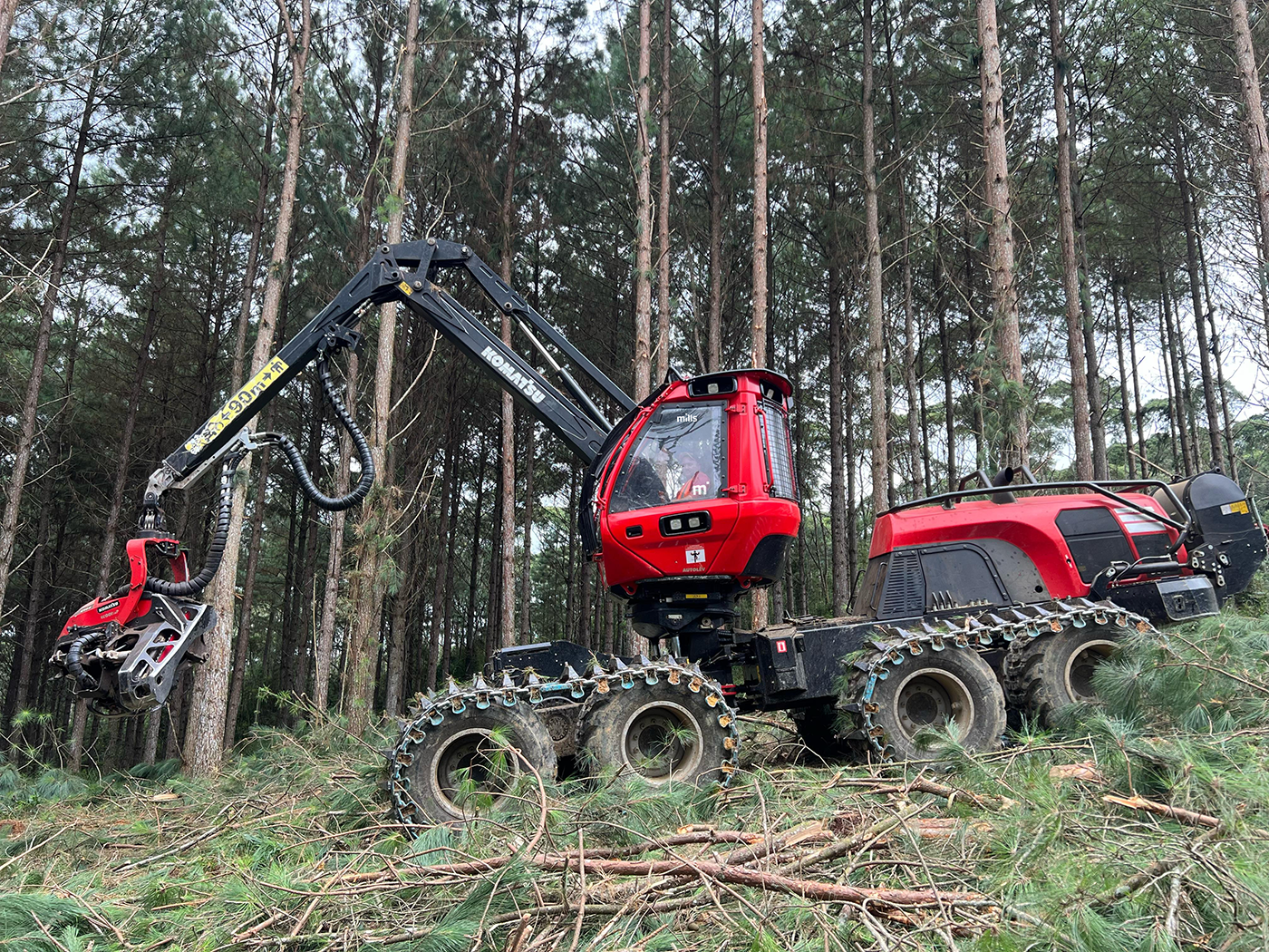 Mills anuncia expansão no setor florestal com investimento de R$ 25 milhões em novos equipamentos