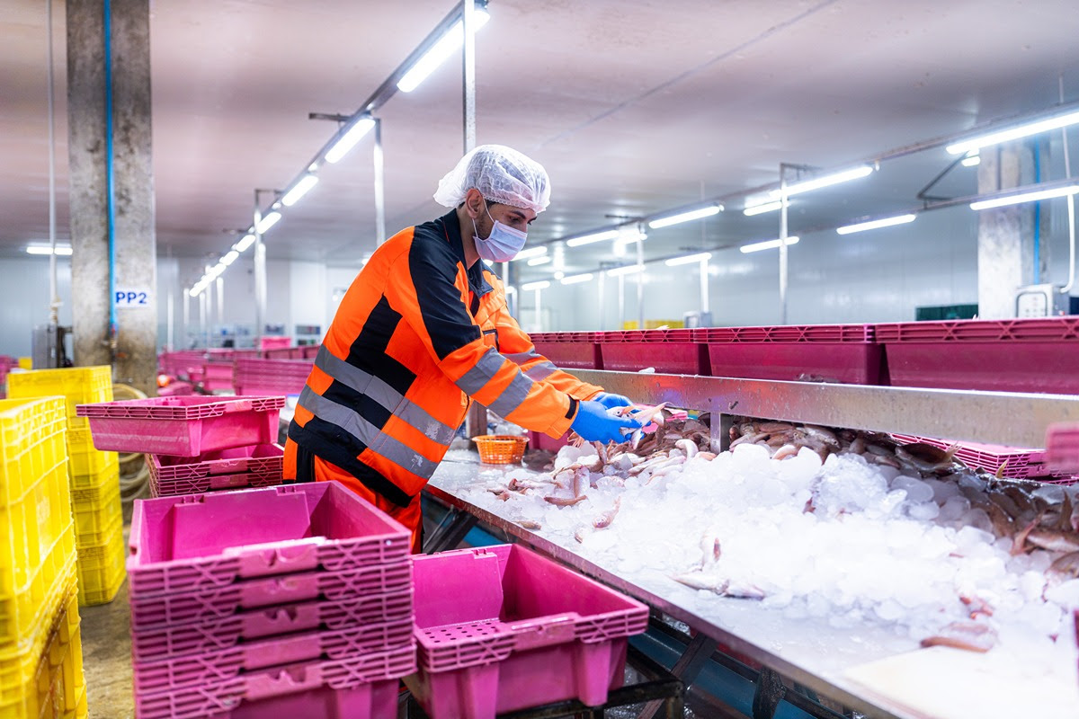 Controle de pausa térmica traz produtividade para a logística refrigerada