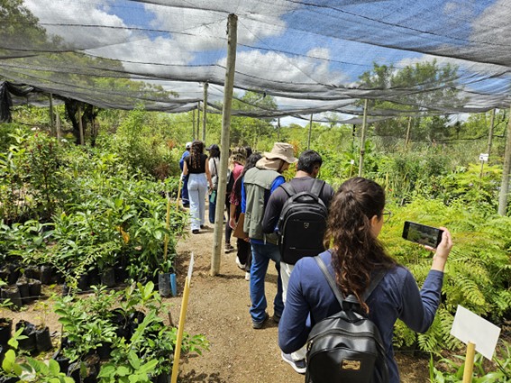 Projeto socioambiental da Embasa promove recuperação de nascentes e áreas degradadas na Bahia