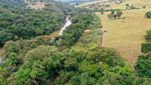 Linha Uni implementa Projeto de Restauração Florestal e promove suporte à fauna nativa