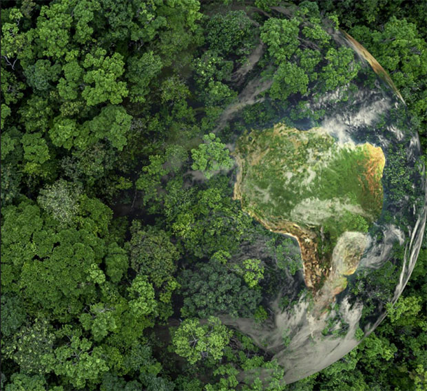  Governo de SP anuncia a publicação de três resoluções voltadas para a sustentabilidade no estado