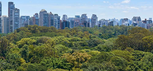 Meio ambiente é essencial para cidades inteligentes, aponta estudo