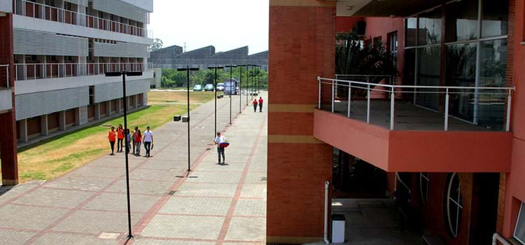 Programa de pós-graduação da USP tem foco em sustentabilidade