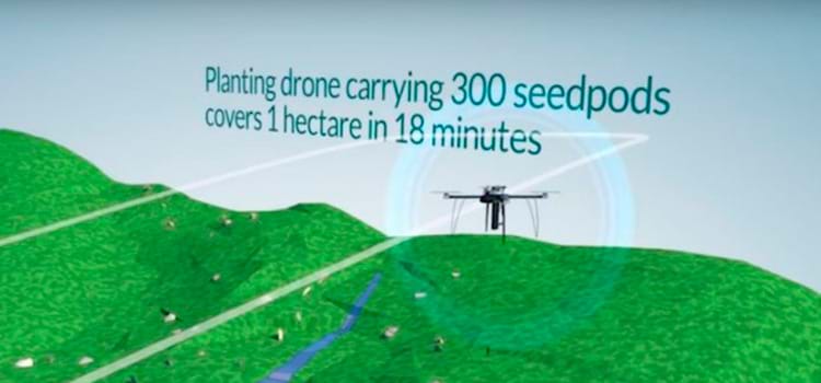 Drones ajudam a combater o desmatamento plantando 100 mil árvores por dia  