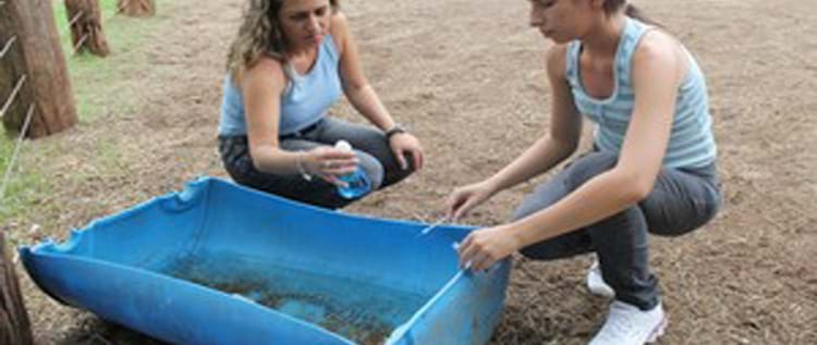  Unigran: Pós em Gestão Ambiental prepara profissionais para atuar no controle ambiental