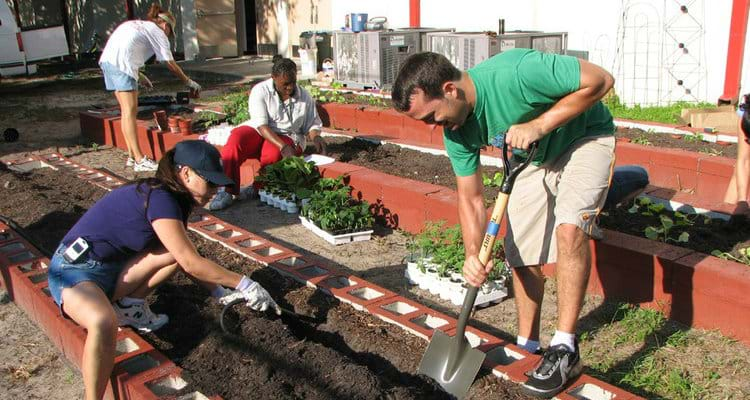 Moradores de São Paulo se unem para construir um ecobairro