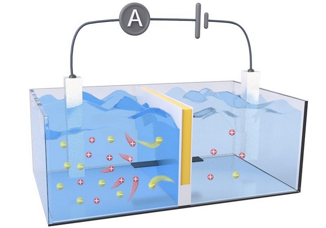 Bateria de sal coleta energia osmótica onde rios encontram o mar