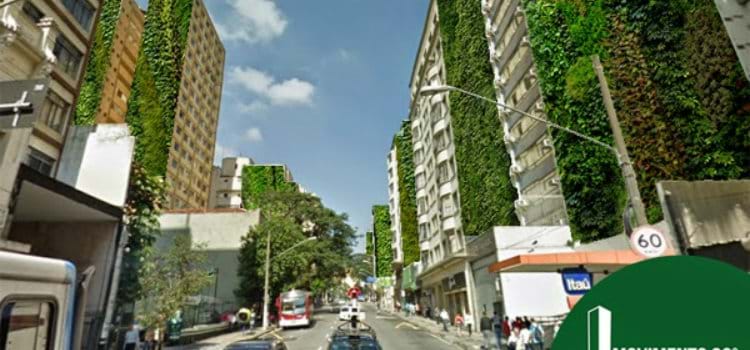  Jardins verticais poderão ocupar prédios em via expressa de São Paulo