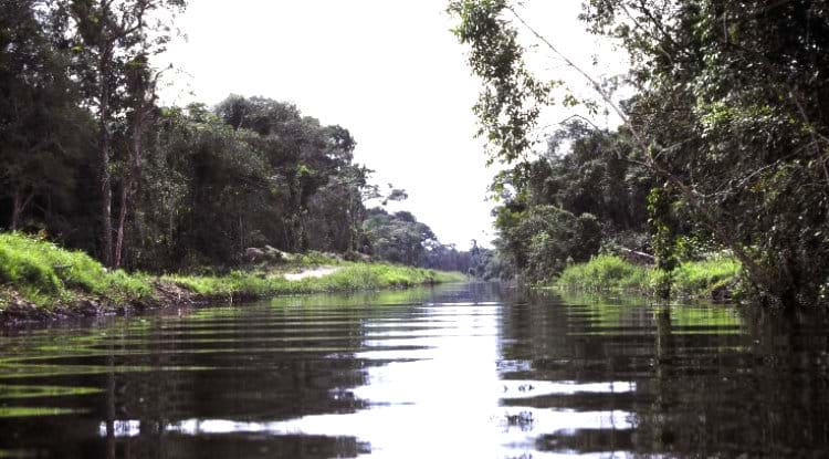  SP precisa de 200 milhões de litros para segurança hídrica