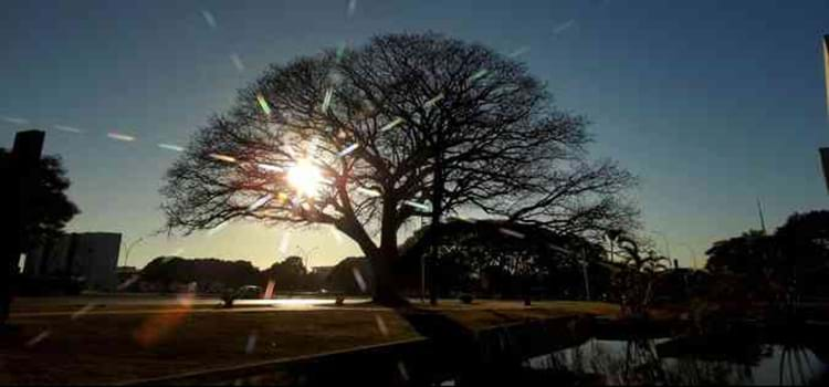 Dia Mundial do Meio Ambiente: Oportunidade de reiniciarmos nossa relação com a natureza