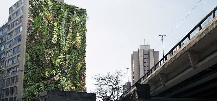 Depois dos tetos verdes, a vez dos paredões verdes