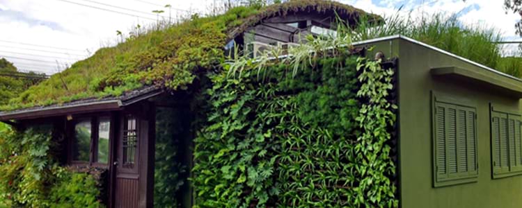 Telhado verde é alternativa para isolamento térmico