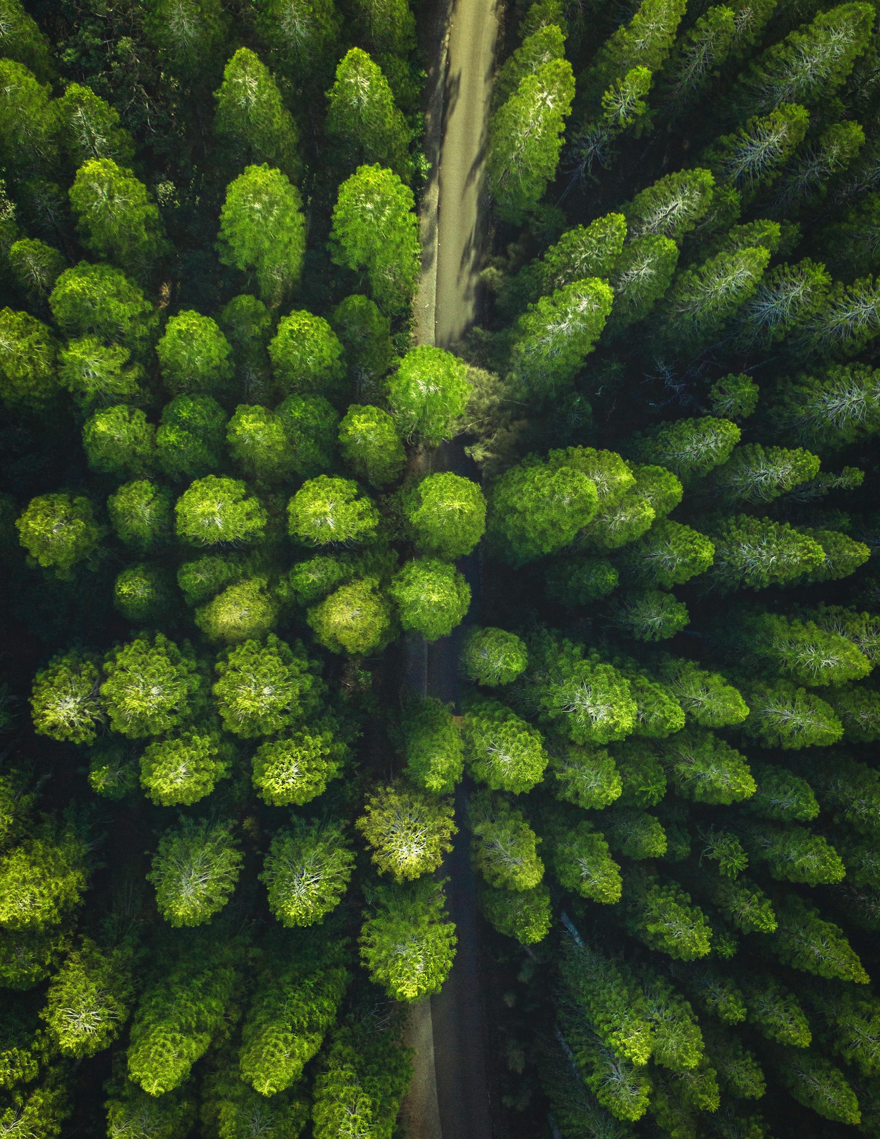 Aço emissão zero, da SSAB, está entre os principais aliados do meio ambiente