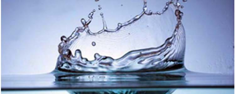 Mensagem à OMC: a água não é uma matéria-prima