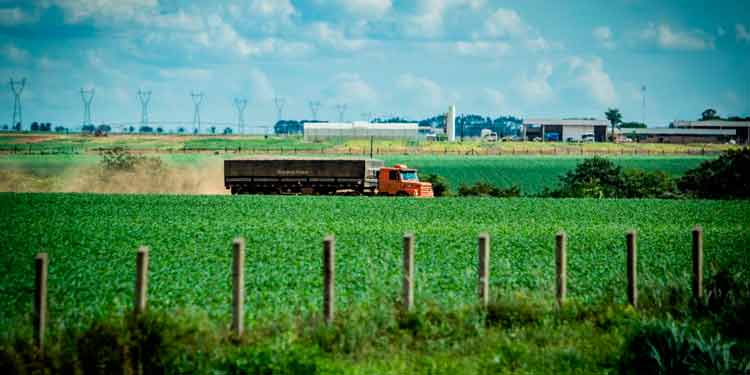 Concessão de rodovias vai melhorar escoamento da produção agrícola de MT