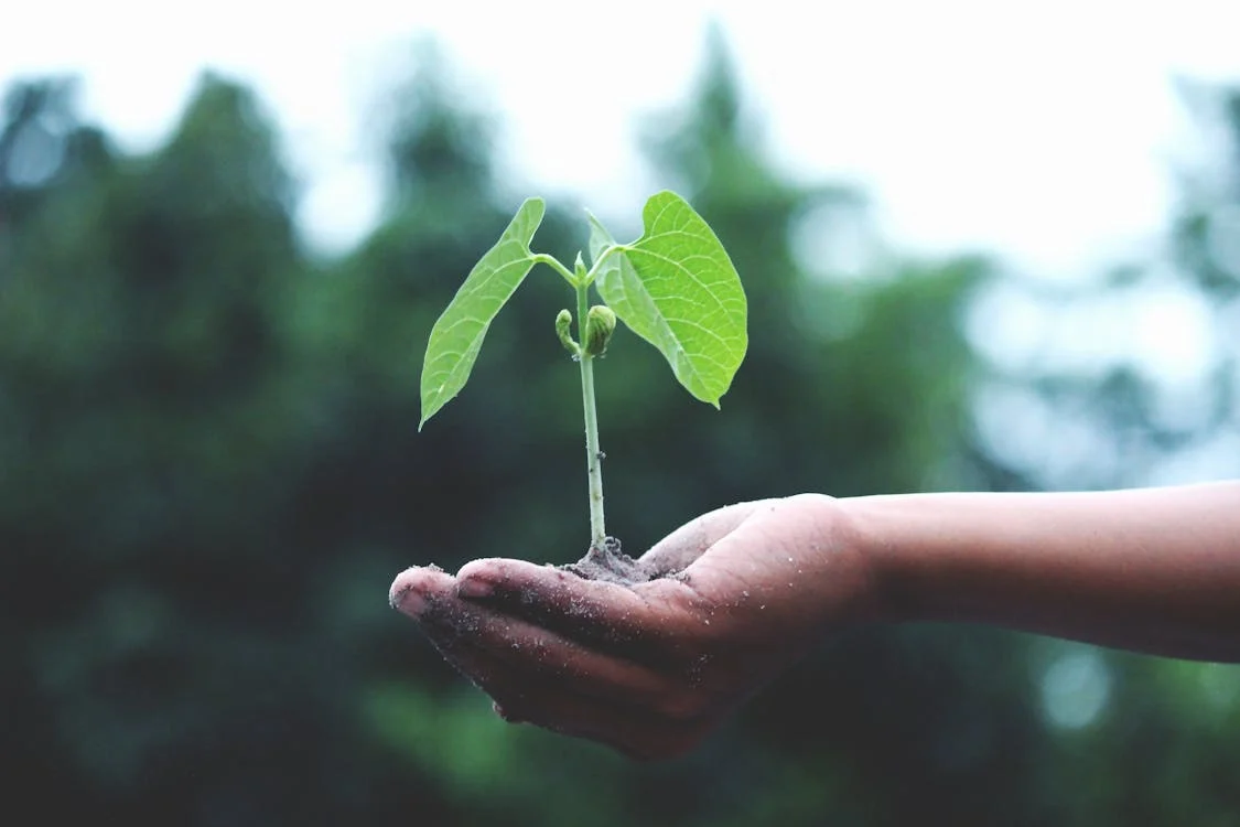 Evento busca integrar pesquisadores interessados em sustentabilidade energética