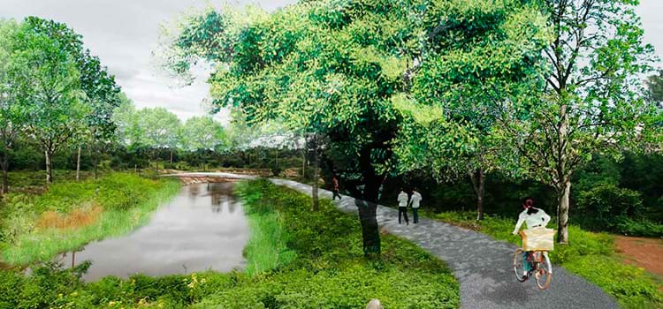 Entenda a importância de um plano diretor verde para o futuro das cidades