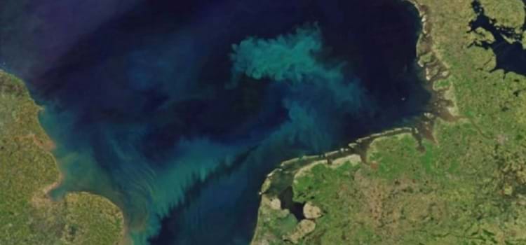  Estudo revela que o oceano mudará de cor neste século