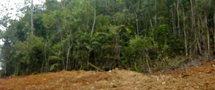 UNIÃO INICIA RECUPERAÇÃO AMBIENTAL NA BACIA CARBONÍFERA